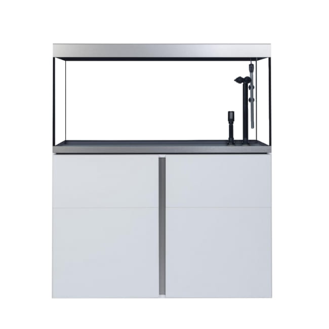 siena_330_biała (2).jpg